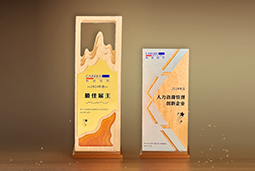 瓦力棋牌(中国)国际一举斩获“2024年度中国区最佳雇主”等多项大奖